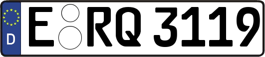 E-RQ3119