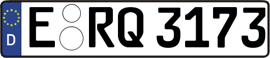 E-RQ3173
