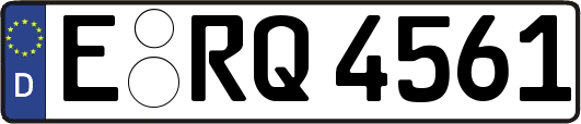 E-RQ4561