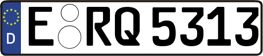 E-RQ5313