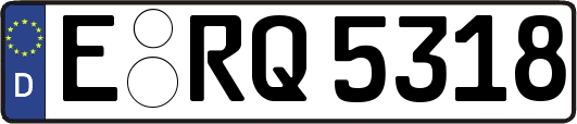 E-RQ5318