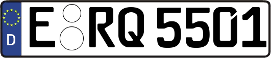 E-RQ5501