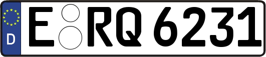 E-RQ6231