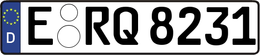E-RQ8231
