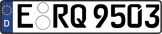 E-RQ9503