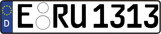 E-RU1313