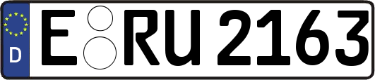E-RU2163