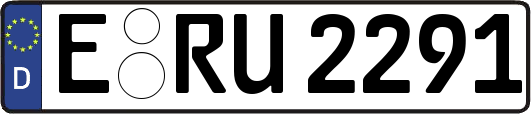 E-RU2291