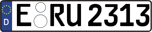 E-RU2313