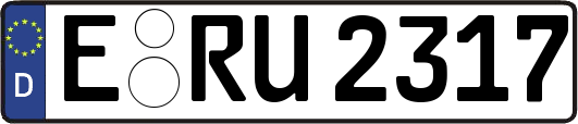 E-RU2317