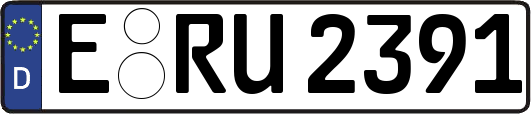 E-RU2391