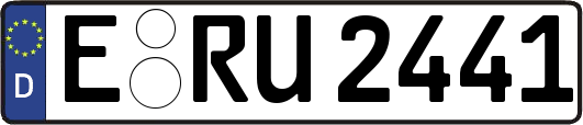 E-RU2441