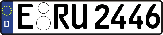 E-RU2446