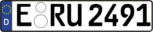 E-RU2491