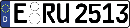 E-RU2513