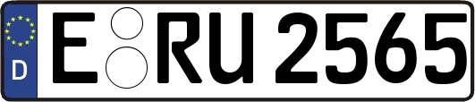 E-RU2565