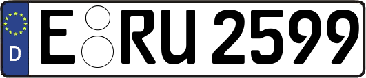 E-RU2599
