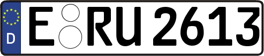 E-RU2613