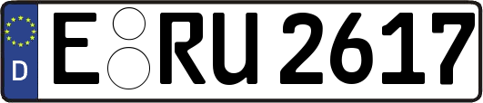 E-RU2617
