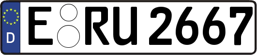 E-RU2667