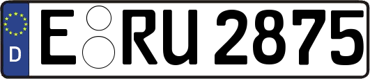 E-RU2875