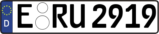 E-RU2919