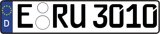 E-RU3010