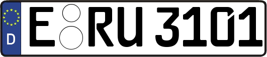 E-RU3101