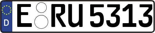 E-RU5313