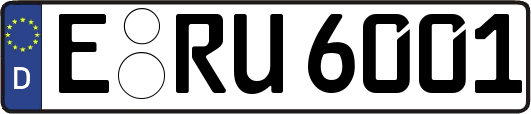 E-RU6001