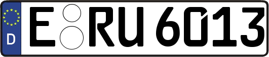 E-RU6013