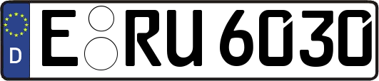 E-RU6030