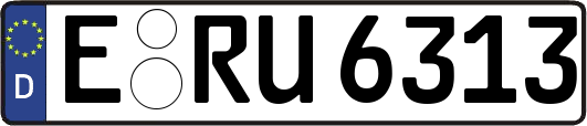 E-RU6313