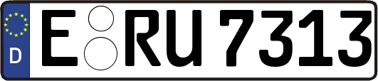 E-RU7313