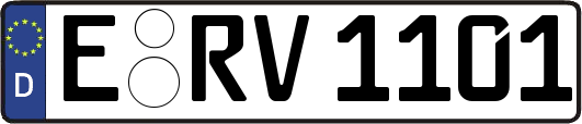 E-RV1101