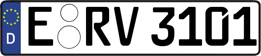 E-RV3101