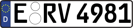 E-RV4981