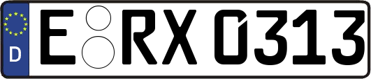 E-RX0313