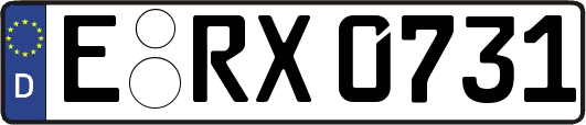 E-RX0731