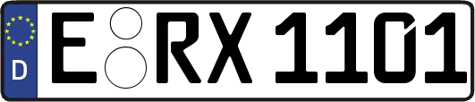 E-RX1101