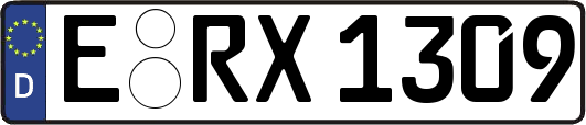 E-RX1309