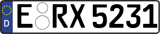 E-RX5231