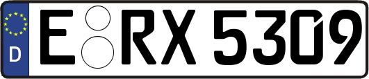 E-RX5309