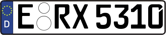 E-RX5310