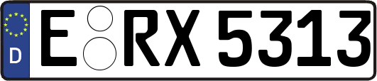E-RX5313