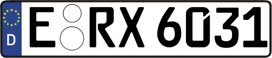 E-RX6031