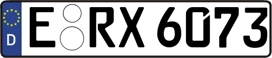E-RX6073