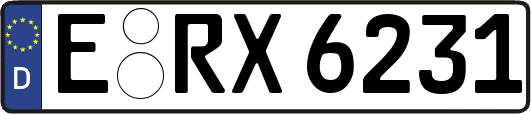 E-RX6231