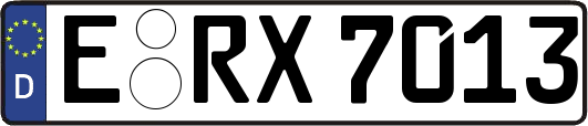 E-RX7013