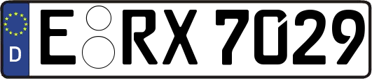 E-RX7029